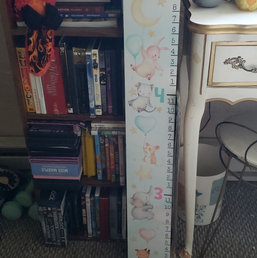 Wooden growth chart